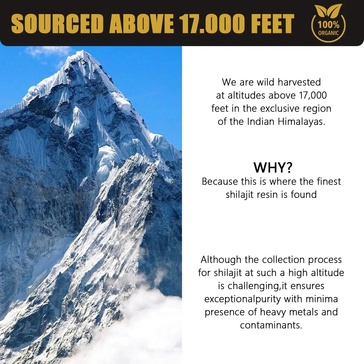 BIYODE Himalayan Pure Shilajit with Fulvic Acid