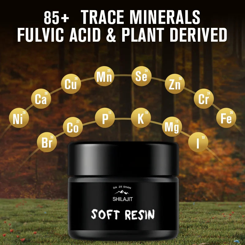 Pure Himalayan Shilajit Resin