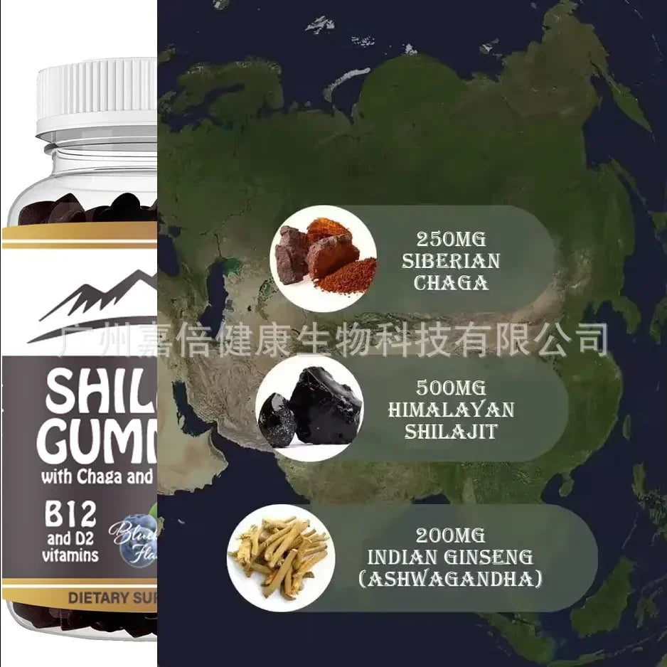 100% ORGANIC SHILAJIT