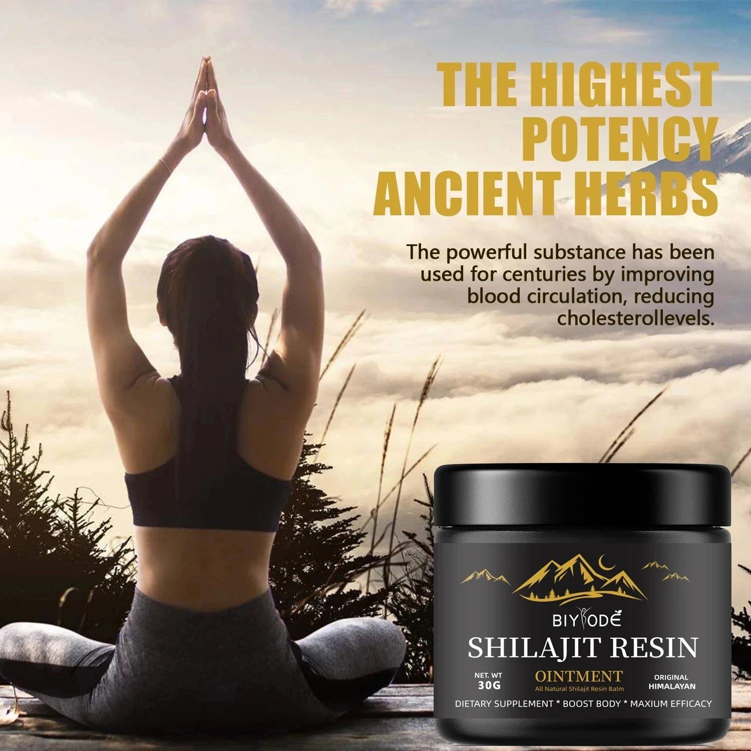 BIYODE 600MG Pure Himalayan Shilajit